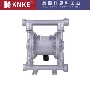 Pneumatic Diaphragm Pump