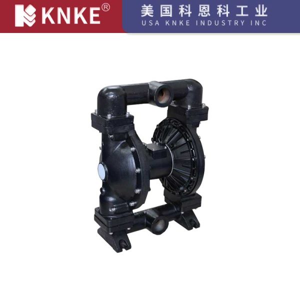 Pneumatic Diaphragm Pump