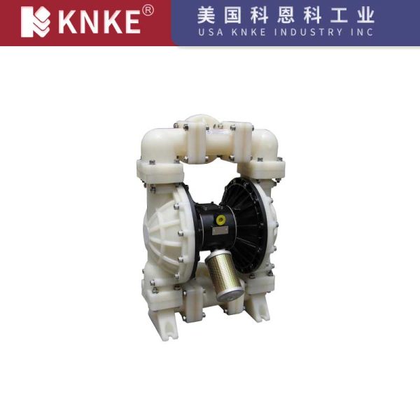 Pneumatic Diaphragm Pump