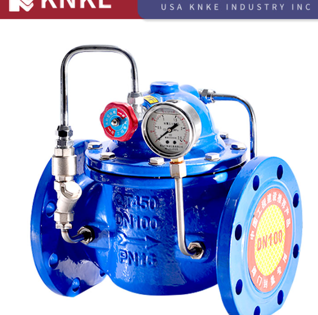 Check valve