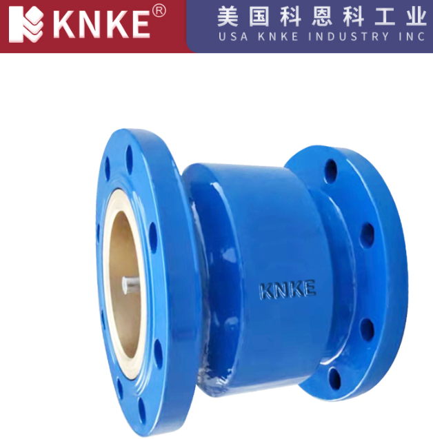 Check valve