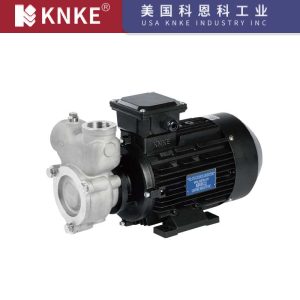High Pressure Vortex Pump