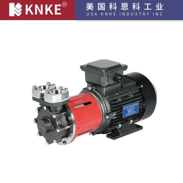 High Pressure Vortex Pump