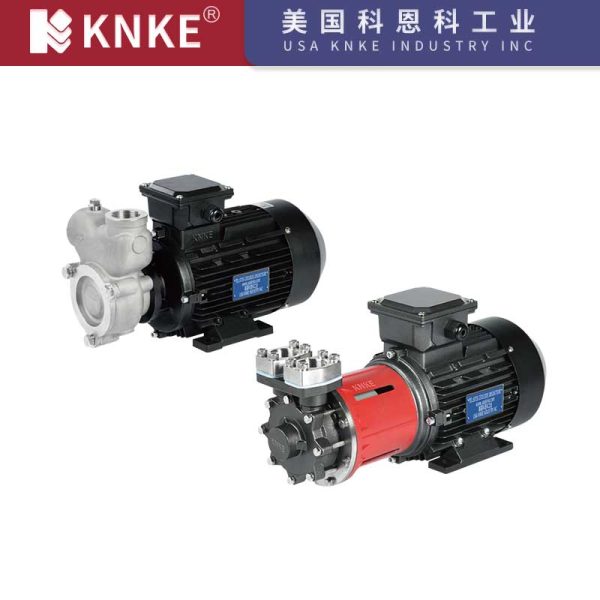 High Pressure Vortex Pump