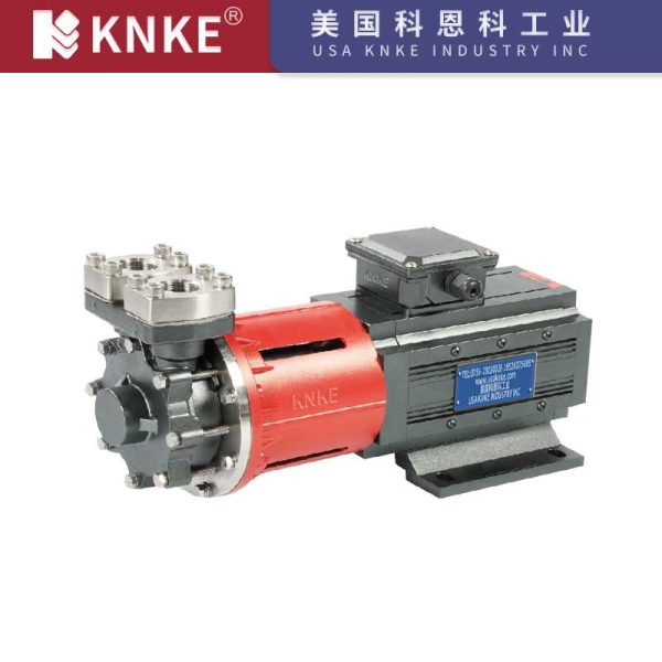 High Pressure Vortex Pump