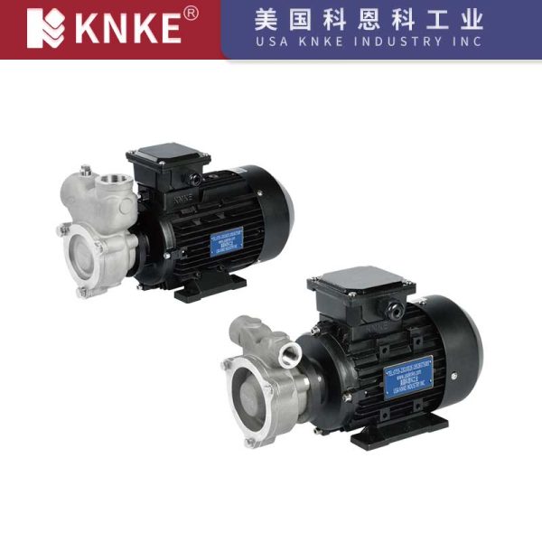High Pressure Vortex Pump