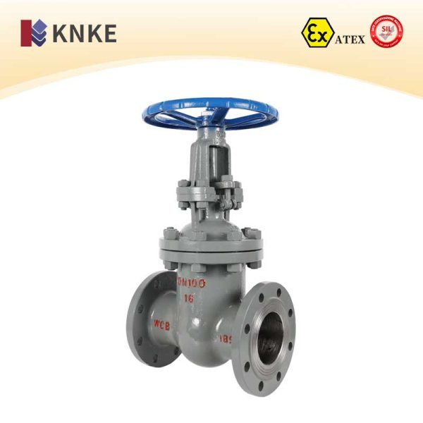 Cast Steel Gate Valve