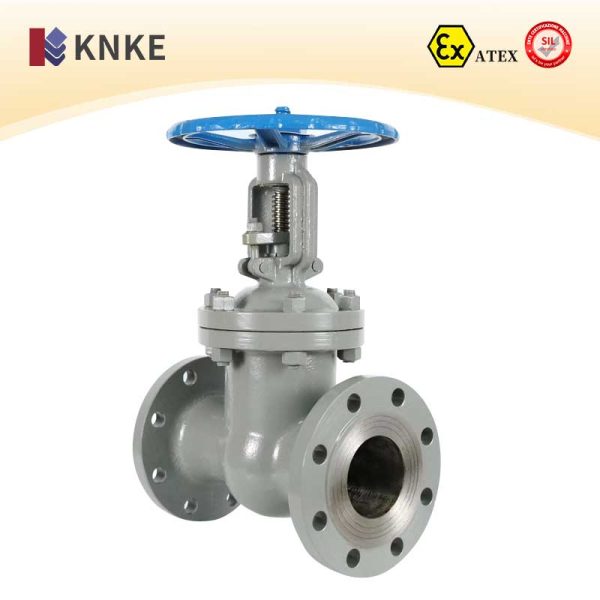 Cast Steel Gate Valve