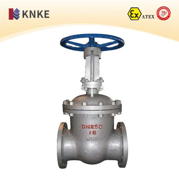 Cast Steel Gate Valve