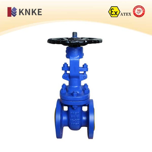 Cast Steel Gate Valve