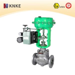 Pneumatic Control Valve