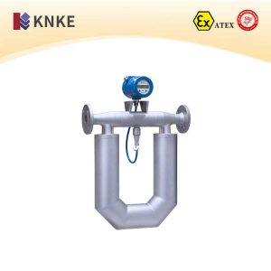 Mass Flow Meter