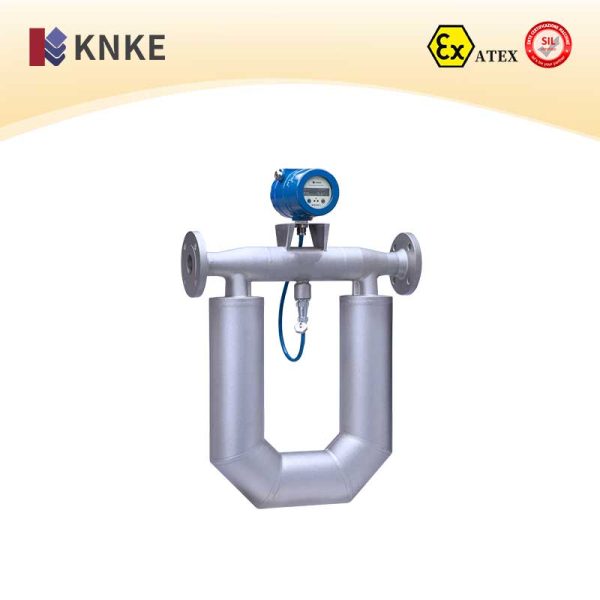 Mass Flow Meter