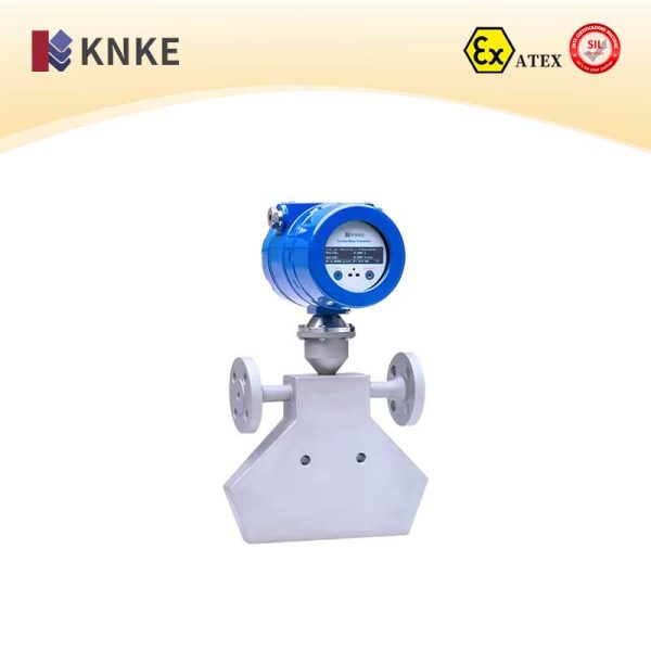 Mass Flow Meter
