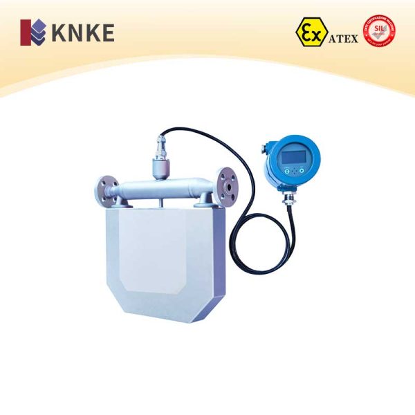 Mass Flow Meter