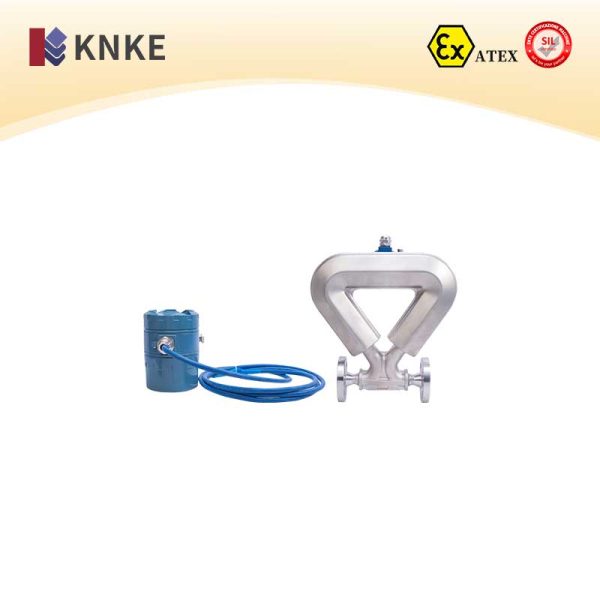 Mass Flow Meter