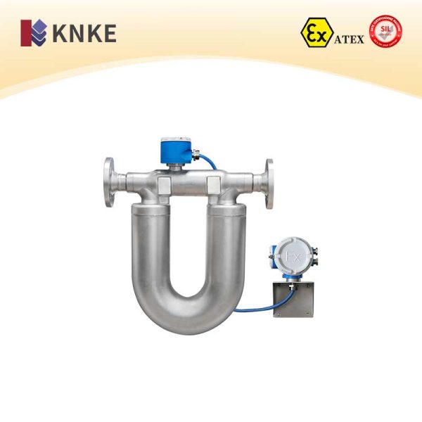 Mass Flow Meter