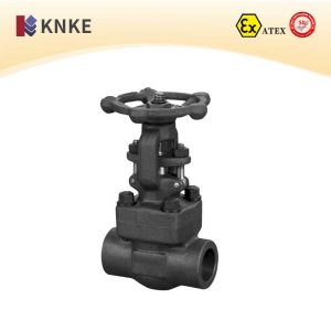 Carbon Steel Gate Valve