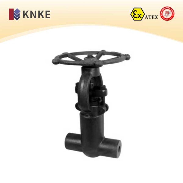 Carbon Steel Gate Valve