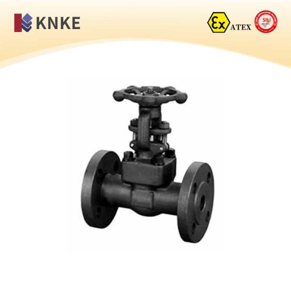 Carbon Steel Gate Valve