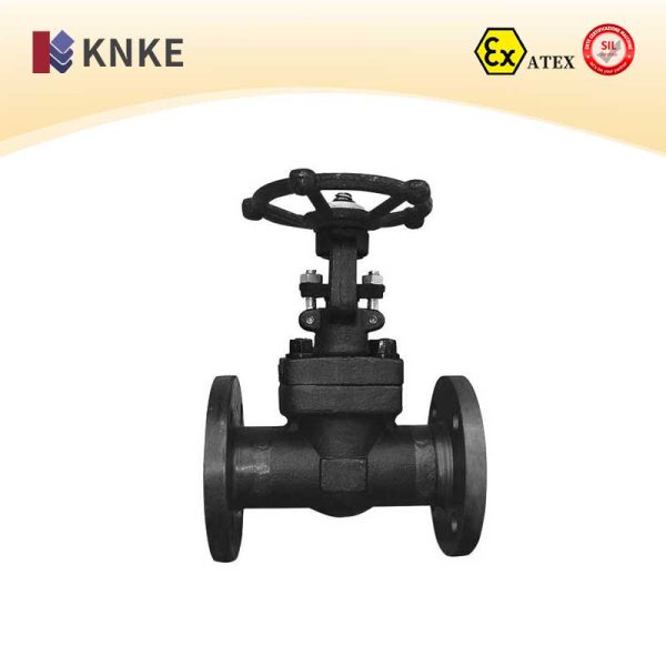 Carbon Steel Gate Valve