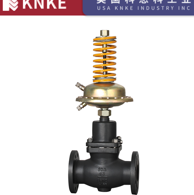 Self-Operated Pressure Regulator Valve