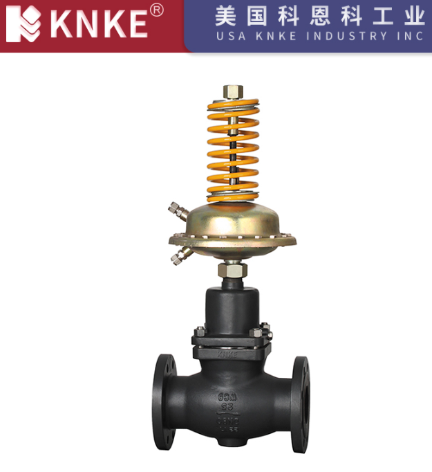 Self-Operated Pressure Regulator Valve