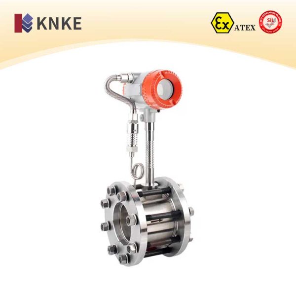 Steam Flow Meter