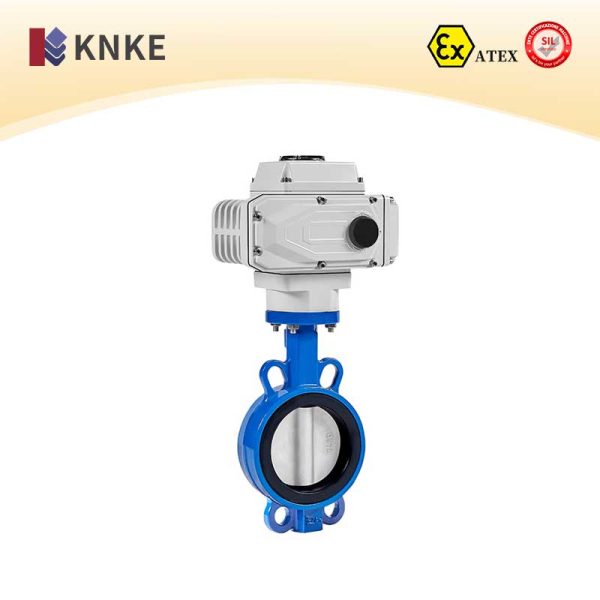 Soft-Sealing Butterfly Valve