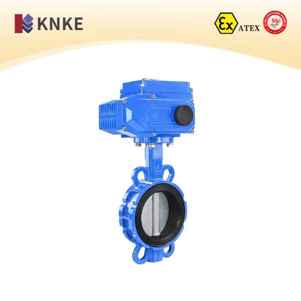 Soft-Sealing Butterfly Valve