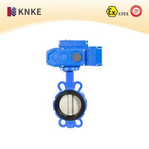 Soft-Sealing Butterfly Valve