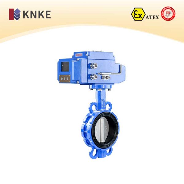 Soft-Sealing Butterfly Valve