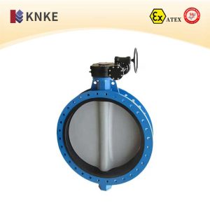 Large Diameter Butterfly Valve