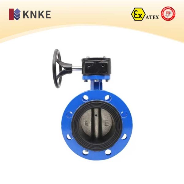 Large Diameter Butterfly Valve