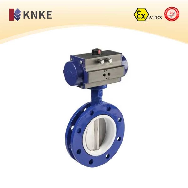 Large Diameter Butterfly Valve