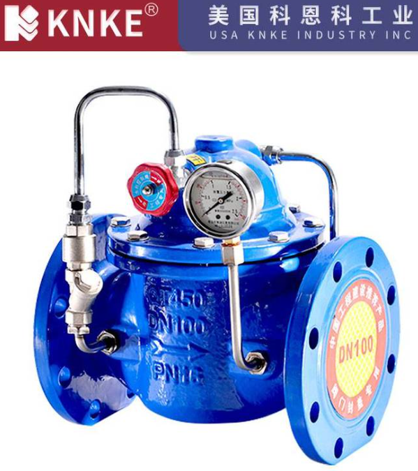 Check Valve