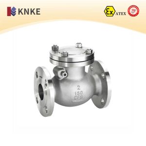 Stainless Steel Check Valve