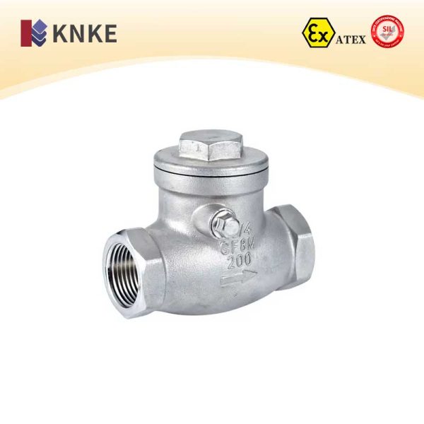 Stainless Steel Check Valve