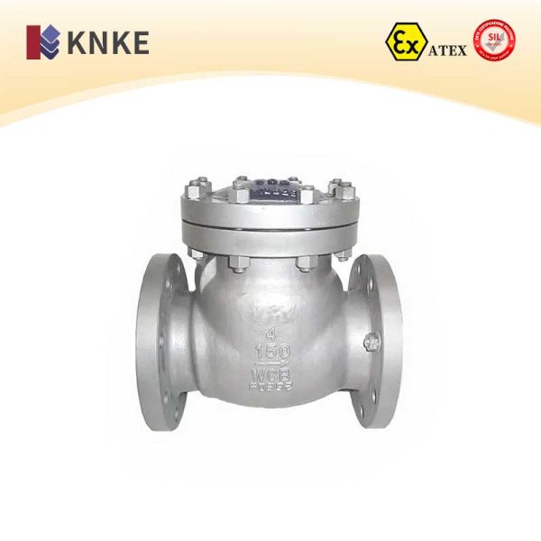 Stainless Steel Check Valve