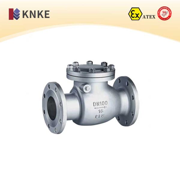 Stainless Steel Check Valve