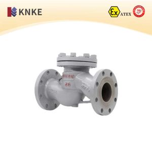 High-Pressure Check Valve