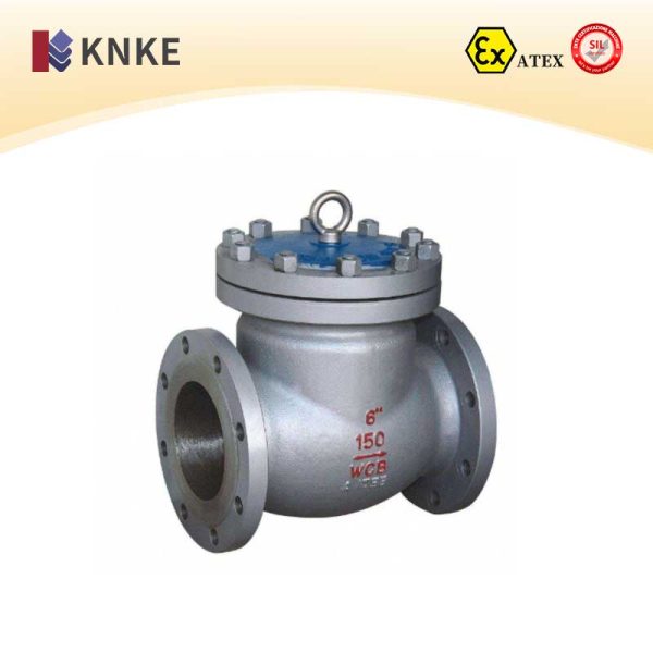High-Pressure Check Valve