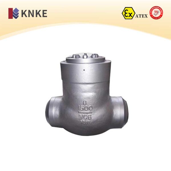 High-Pressure Check Valve