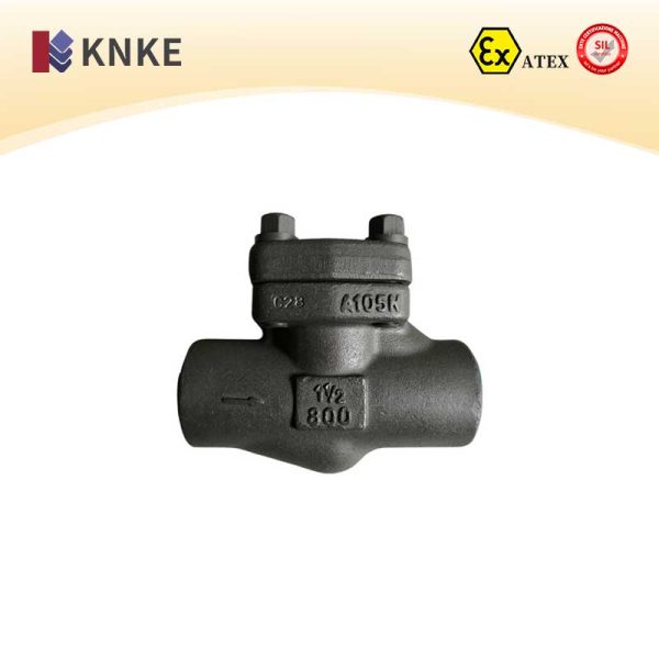 High-Pressure Check Valve
