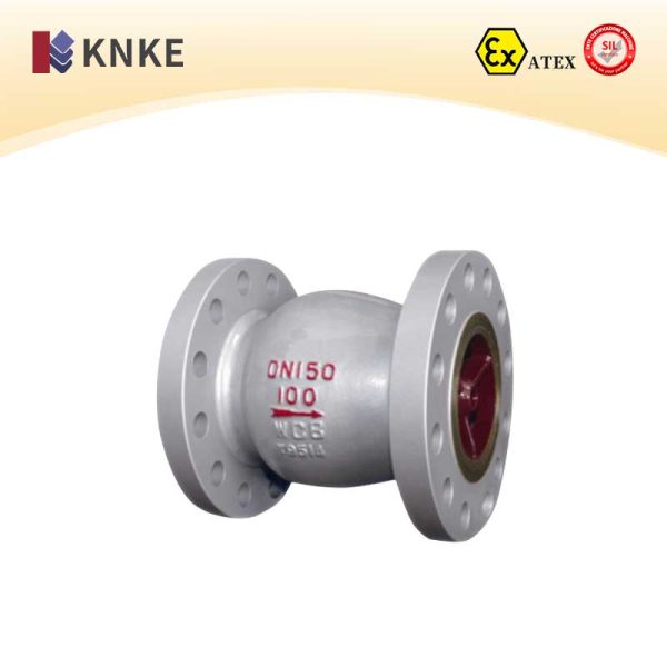 High-Pressure Check Valve