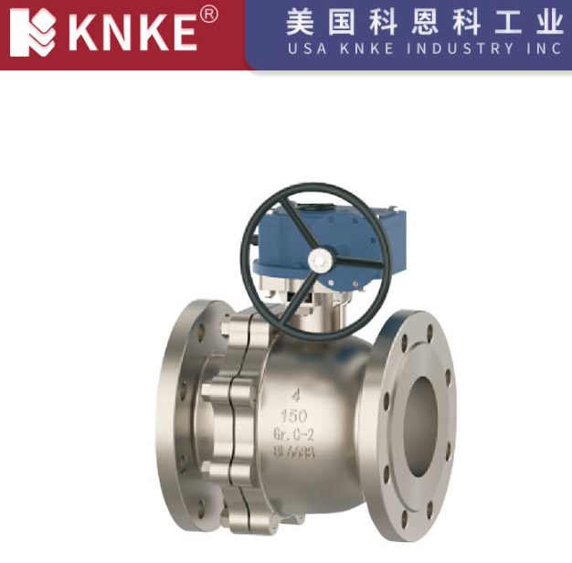 Stainless Steel Valves