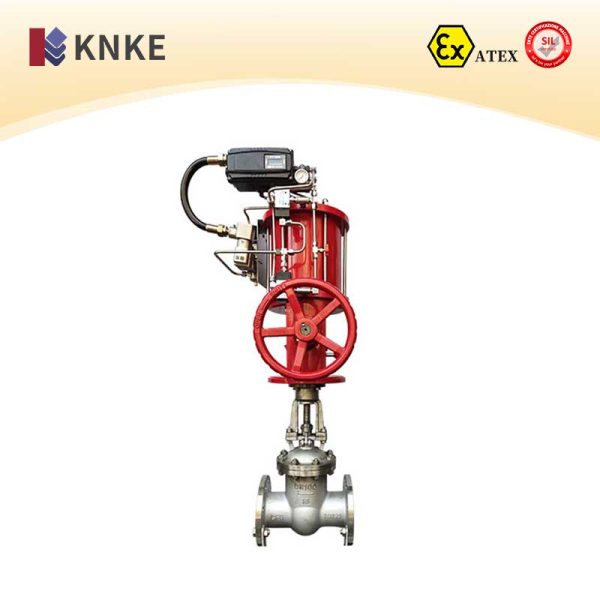 Pneumatic Gate Valve