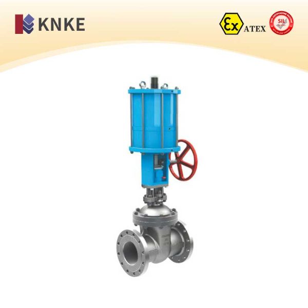 Pneumatic Gate Valve