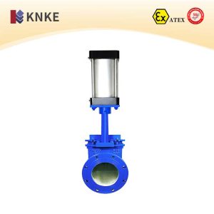 Pneumatic Gate Valve