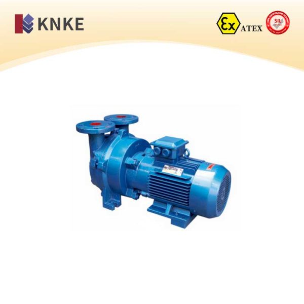 Water Ring Vacuum Pump